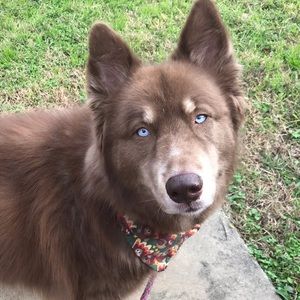 Meet your Posher, Anna